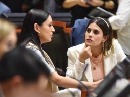 La diputada Priscila Franco Barba, autora de la iniciativa vetada, expuso que se rescató la rescató la esencia de la iniciativa que es garantizar los derechos humanos de las personas. Cortesía