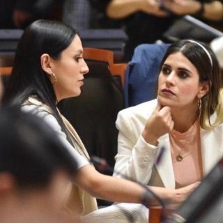 Revierten intento para eliminar la carta de no antecedentes penales