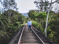 La prohibición para que el gobierno federal concluya la construcción permanecerá vigente hasta que la juez resuelva el fondo del amparo. TWITTER/TrenMayaMX
