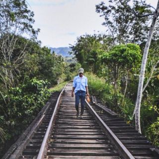 Frenan por tiempo indefinido construcción del Tren Maya en Calakmul