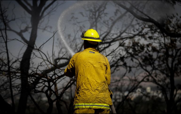Del 1 de enero al 27 de febrero de este año, se registraron un total de 18 incendios forestales en Jalisco. EL INFORMADOR / ARCHIVO