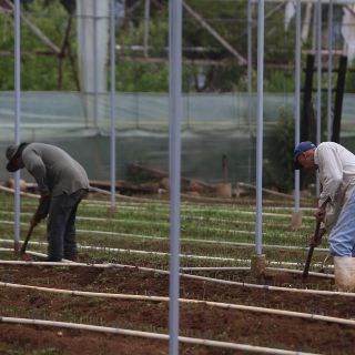 Grupo Altex se mete con Alsea, Bimbo, Cinemex y Campbell’s, y va por más