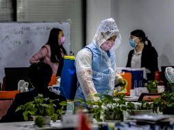 El número de muertos en Corea del Sur llegó a 42, cinco más que el día anterior. EFE / A. Plavevski