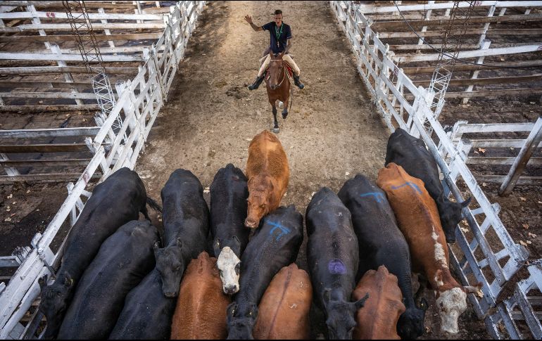 El campo mueve la economía del interior de Argentina. AP/V. Caivano