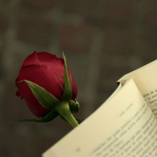 "Crónicas Marcianas", de Ray Bradbury será leído en el Día Mundial del Libro