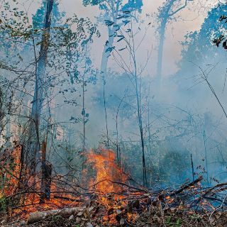 Avanza prohibición de quemas agrícolas en la ZMG