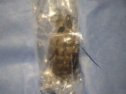El proyectil fue asegurado tras un registro, en el que se pidieron perros detectores de droga y explosivos. ESPECIAL