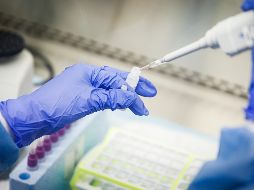 El actual brote de Covid-19, ya declarado pandémico, deja en situación de vulnerabilidad a la ciudadanía alemana. AP / J. Minchillo