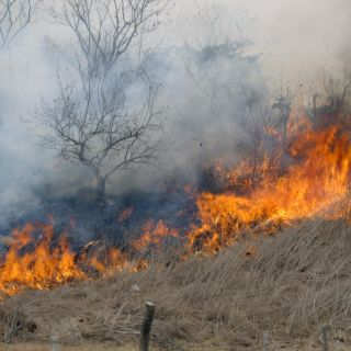 Avalan multas de hasta seis MDP por quemas agrícolas en AMG