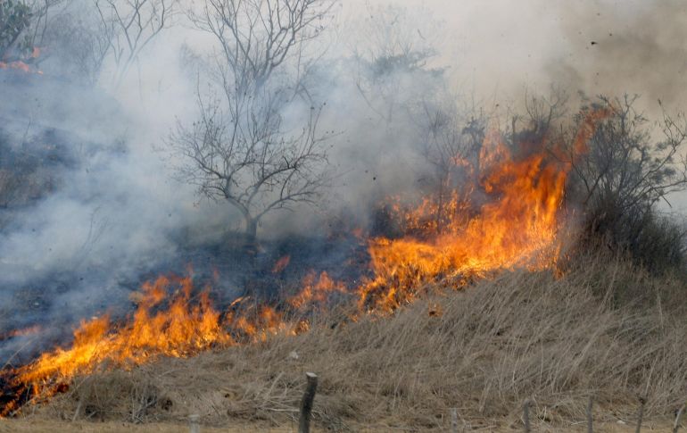 Las multas se triplicarán si las quemas se realizan a diez metros de un área natural protegida. EL INFORMADOR / ARCHIVO
