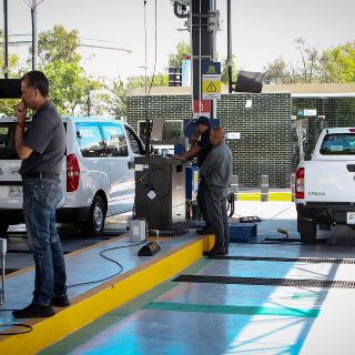 Tribunal descarta “frenar” verificación