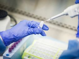 La primera fase, en la que nos encontramos actualmente, es la de Importación Viral. AP / J. Minchillo