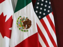 El Senado de la República ratificó el T-MEC el 19 de junio pasado. EFE/ARCHIVO