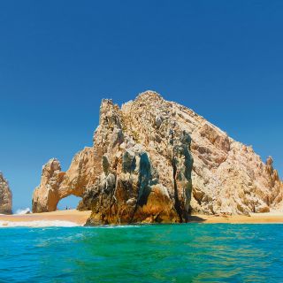 La primavera despierta en Los Cabos