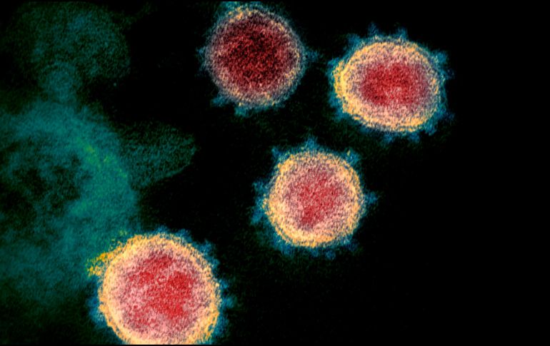 ''No queremos que esto sea el inicio de una dispersión importante de coronavirus'', dijo el secretario de Salud Jalisco, Fernando Petersen. AFP