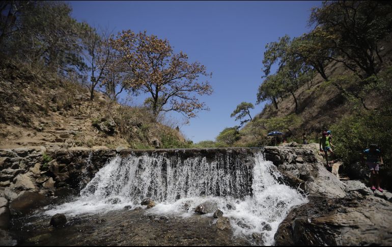 Ärea del Río Caliente en el Bosque La Primavera. EL INFORMADOR / ARCHIVO