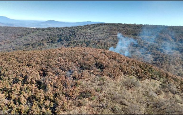 El incendio está en medio de una cañada, lo cual podría dificultar las labores de extinción de las dos líneas de fuego. ESPECIAL / Policía de Tlajomulco