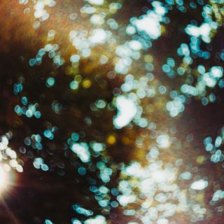 La mirada incluyente de la fotografía