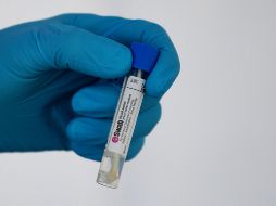 Los científicos también trabajan en medicamentos para tratar la sintomatología del coronavirus. AFP / F. Fife