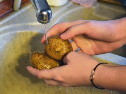 Higiene. Las verduras con cáscara deben lavarse con un cepillo de cerdas. ESPECIAL