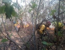 Minutos antes de las 18:00 horas, se informó que se tenía un avance del 80% en el combate del fuego.ESPECIAL / Semadet