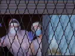 Al día de hoy, los científicos siguen sin saber qué animal pudo ser el huésped intermedio que facilitó la transmisión del virus a los humanos. AFP / B. Samper