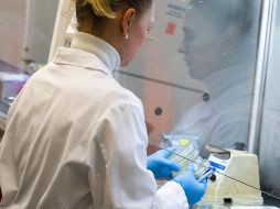 Suman ya mil 46 decesos por la pandemia de coronavirus en EU. AFP / ARCHIVO