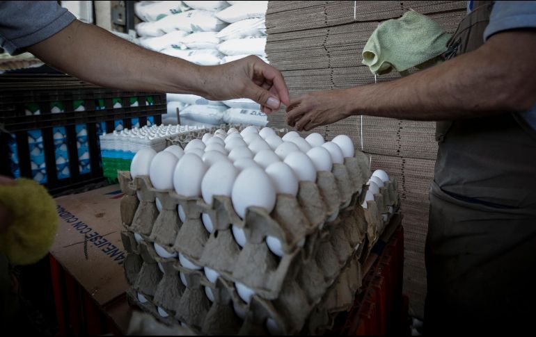 La Procuraduría del Consumidor hace un llamado a la población para que reporte las alzas o denuncien los aumentos en el precio del huevo u otro producto. EL INFORMADOR / F. Atilano