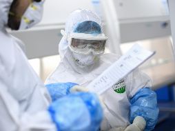 La transmisión se hace posible de una persona a otra, por medio de las gotitas respiratorias y al entrar en contacto de una superficie en que ha quedado impregnado el virus. AFP / ARCHIVO