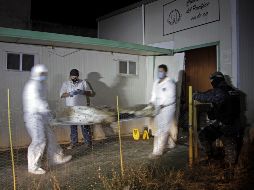 Los cadáveres localizados en Taxco tenían las manos amarradas, estaban descalzos y presentaban impactos de bala en la cabeza y el cuerpo. AP/ARCHIVO