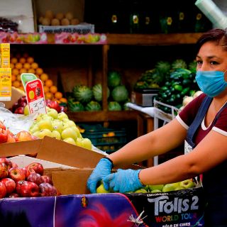 En plan de reactivación económica se le dará énfasis al empleo: López Obrador