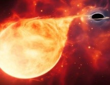 Ilustración: el hipotético agujero negro se reveló a sí mismo al desgarrar una estrella que se acercó demasiado. ESA/Hubble, M. Kornmesser