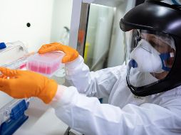 Especialista de la UNAM señala que debe tomarse en cuenta que el número de infectados es mayor al registrado pero hay casos que no llegarán a los servicios médicos. AP / P. Steffen