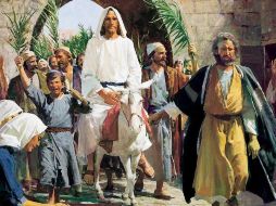 Es muy curioso descubrir en la vida de la Iglesia, cómo una planta llega a darle el nombre a toda una celebración litúrgica: Domingo de Ramos. ESPECIAL