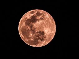 La Luna Rosa vista desde la Ciudad de México. SUN / S. Tapia