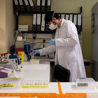 Habilitarán laboratorio de Vallarta para hacer pruebas de COVID-19