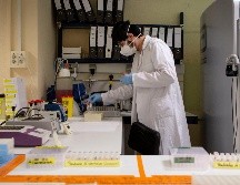 La idea es que también esté habilitado y equipado para hacer las pruebas PCR. EFE / E. Fontcuberta