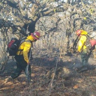 La Semadet atiende dos incendios forestales en en Estado