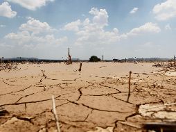 EL INFORMADOR / ARCHIVO