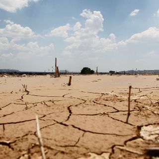 "Inicia emergencia por sequía severa", informa Conagua