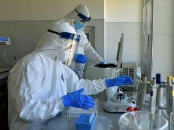 La bolsa de 11 mil millones de pesos para seguridad podrá ser utilizada para la compra de insumos médicos. EFE / ARCHIVO