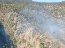 Los elementos son apoyados por los helicópteros Tláloc de Zapopan y Witari del Gobierno de Jalisco para facilitar el combate. TWITTER / @UMPCyBZ