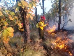 El iúltimo ncendio se liquidó a las 16:00 horas y con una afectación de 1.27 hectáreas de hojarasca. ESPECIAL / Semadet