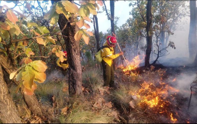 El iúltimo ncendio se liquidó a las 16:00 horas y con una afectación de 1.27 hectáreas de hojarasca. ESPECIAL / Semadet