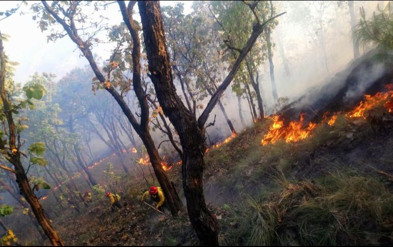 En el contexto nacional Jalisco ocupa el séptimo lugar en incendios forestales con 52 incendios al 2 de abril. ESPECIAL / Semadet