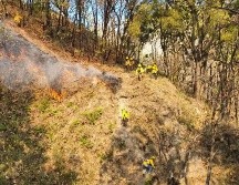 TIWTTER / @sergio_grafm