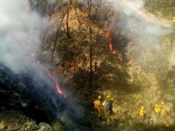 En lo que va del año y hasta el pasado 9 de abril, en Jalisco se habían registrado 87 incendios forestales. TWITTER / @sergio_grafm