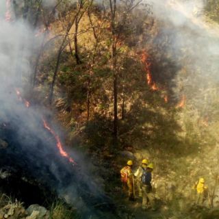 Liquidan cinco incendios este lunes en Jalisco