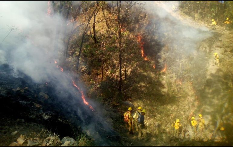 En lo que va del año y hasta el pasado 9 de abril, en Jalisco se habían registrado 87 incendios forestales. TWITTER / @sergio_grafm