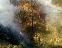 En lo que va del año y hasta el pasado 9 de abril, en Jalisco se habían registrado 87 incendios forestales. TWITTER / @sergio_grafm